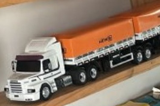 Cavalo branco com carreta laranja